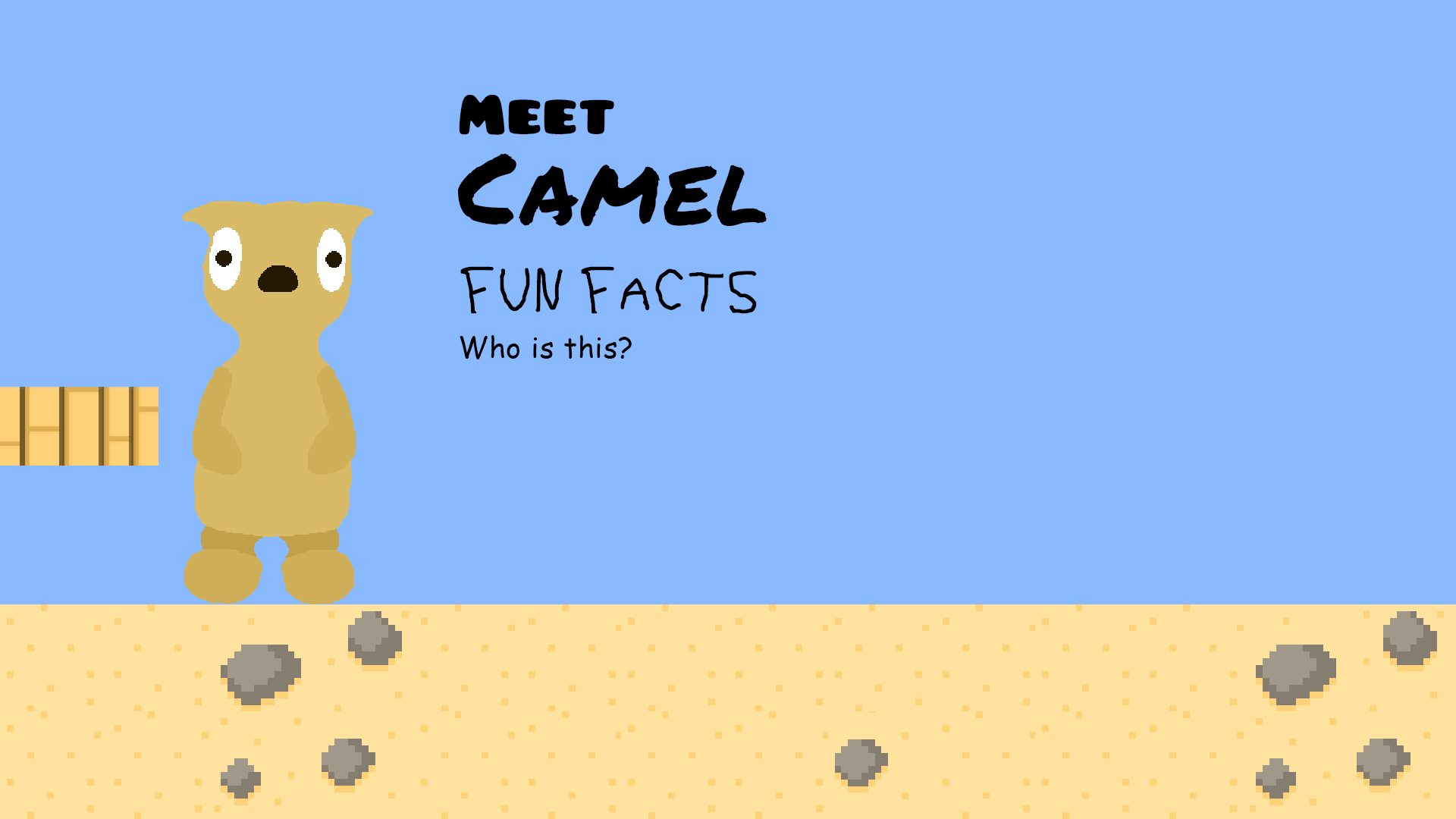 meet camel
