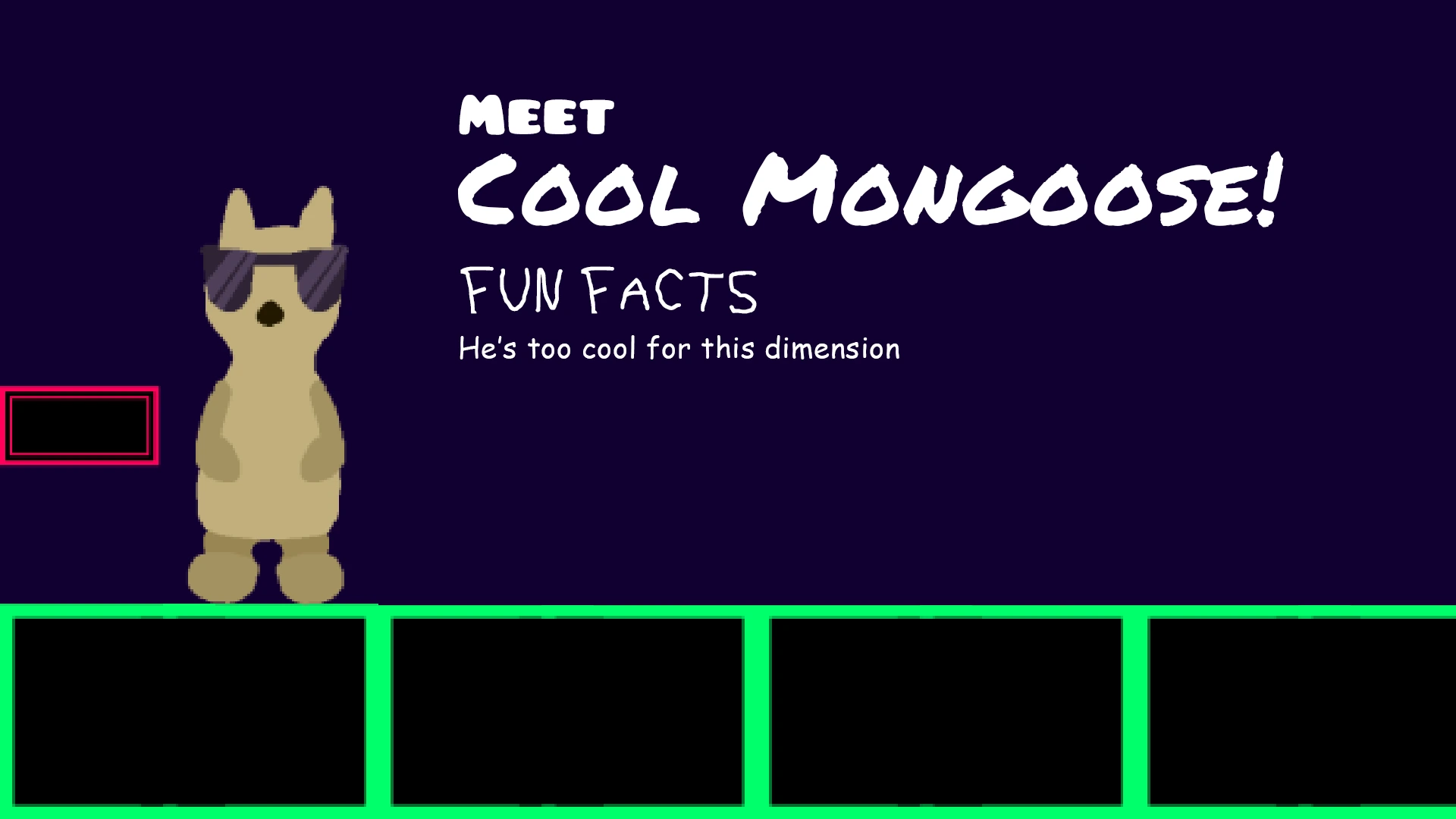 meet cool mongoose