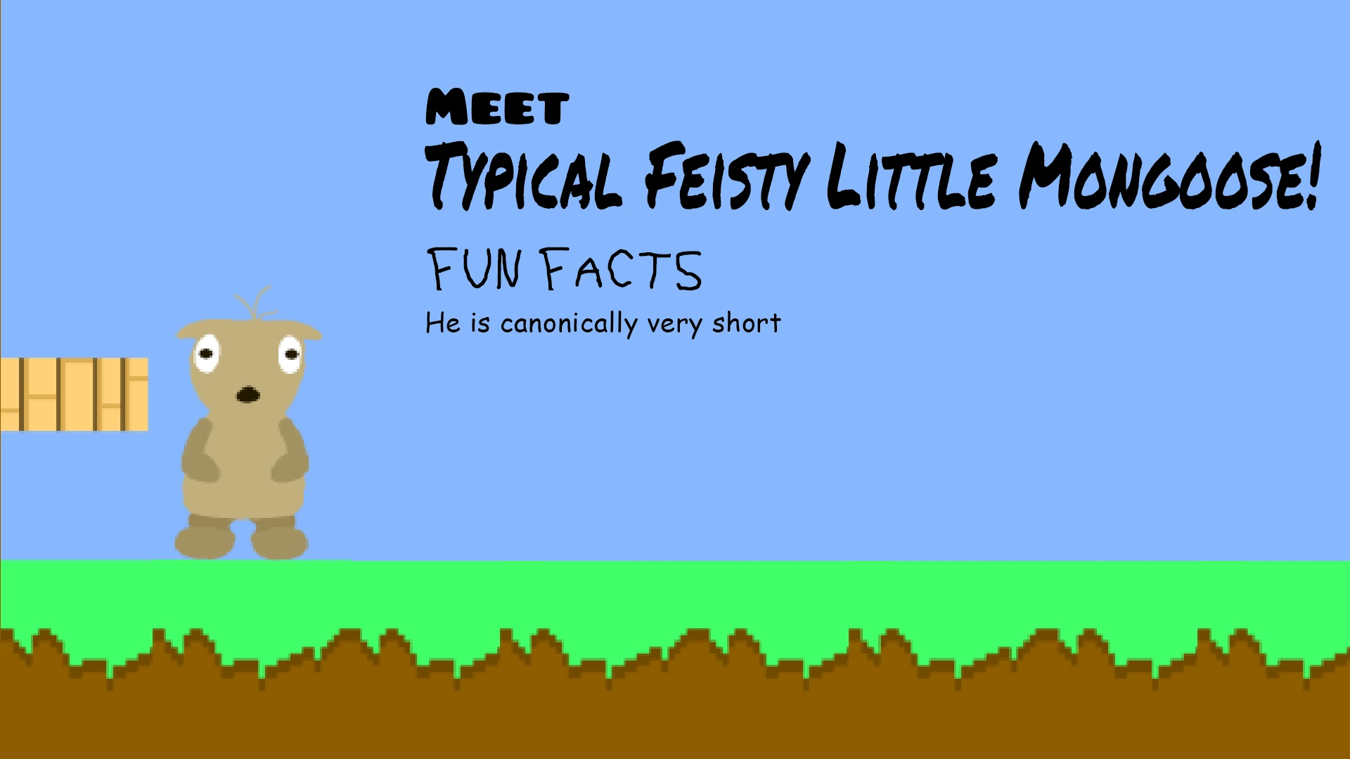 meet typical feisty little mongoose